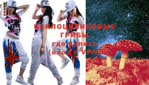 МДПВ Арсеньев