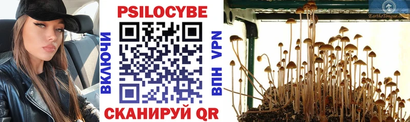 Галлюциногенные грибы Psilocybine cubensis  купить наркоту  ссылка на мегу зеркало  Партизанск 